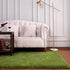 Keeko Premium Fluffy Grass Green Area Rug Cute Shag Carpet, Extra Soft and Shaggy Carpets, High Pile, Indoor Fuzzy Rugs for Bedroom Girls Kids Living Room Home, 4x5.3 Feet