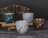 VanEnjoy Sef of 5 Hand-Drawn Traditional Chinese Ceramic Teacup Tea Cups, Floral and Bird Pattern,Bulk Teacup in Gift Box