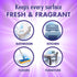 Fabuloso Professional All-Purpose Cleaner, 1 Gallon, Concentrated Deep Cleaning Professional Degreaser Bottle (Lavender, 1 gal)