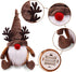 Christmas Gnomes with Light Rudolph Red Nose Gnome Couple Plush Reindeer Decorations Winter Holiday Elf Scandinavian Collectible Figurines Handmade Swedish Tomte Xmas Ornaments Gift Idea Set of 2