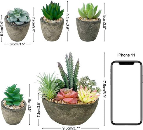 Succulents Plants Artificial Set of 5, Realistic Fake Succulents with Cement Like Pots for Home Office Decoration.