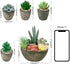 Succulents Plants Artificial Set of 5, Realistic Fake Succulents with Cement Like Pots for Home Office Decoration.