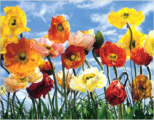 Stalente Diamond Painting Kits for Adults, Diamond Painting Flowers, Diamond Art Landscape, DIY 5D Full Round Drill Diamond Art Kits Crafts for Home Wall Decor 13.7X17.7in