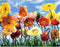 Stalente Diamond Painting Kits for Adults, Diamond Painting Flowers, Diamond Art Landscape, DIY 5D Full Round Drill Diamond Art Kits Crafts for Home Wall Decor 13.7X17.7in