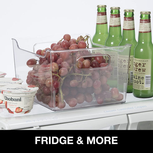 Oggi Bin Ideal for Kitchen, Pantry Storage, Fridge Organizing, Clear, 9.75" x 9" x 6"