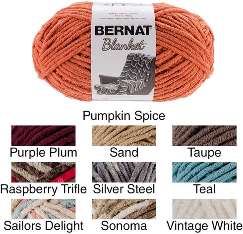 Bernat 16111010006 Blanket Yarn, 10.5 Ounce, Vintage White