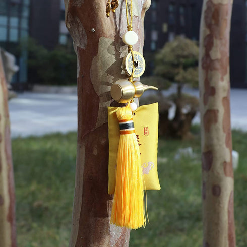 WASHAI Chinese Coins Feng Shui Car Rearview Mirror Accessories, Take It with You The Good Luck Will be with You