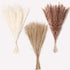 60 Pcs Dried Pampas Grass Decor - Pompass Grass Branches/ Dried Pompous Grass for Flower Arrangements Wedding Home Decor( 15 Pcs Brown Pampas Grass& 15 Pcs White Pampas Grass &30 Pcs Reed Grass)