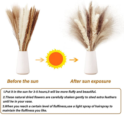 60 Pcs Dried Pampas Grass Decor - Pompass Grass Branches/ Dried Pompous Grass for Flower Arrangements Wedding Home Decor( 15 Pcs Brown Pampas Grass& 15 Pcs White Pampas Grass &30 Pcs Reed Grass)