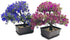 Fycooler Artificial Bonsai Tree-Fake Plant in Pot Artificial Plants,Faux Bonsai Japanese Pine Bonsai Artificial Plants for Home Decor Indoor,Office/Windowsill/Yard,Desktop Display, Zen Garden Décor