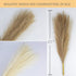 NA Faux Pampas Grass, 17.7inches Beige & Brown Artificial Grass,Fake Grass for Vase Filler (Brown & Beige),1.97*1.97*17.33