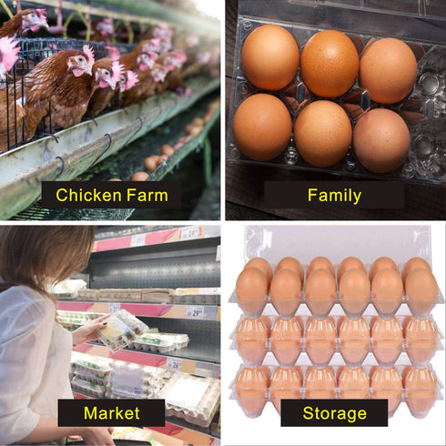 Large Egg Cartons 30 Packs with Sticker Labels, Plastic Egg Carton for 12 Eggs, Cheap Bulk Egg Tray Egg Container Holder for Refrigerator, Storage, Family, Chicken Farm, Market, Camping