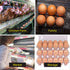 Large Egg Cartons 30 Packs with Sticker Labels, Plastic Egg Carton for 12 Eggs, Cheap Bulk Egg Tray Egg Container Holder for Refrigerator, Storage, Family, Chicken Farm, Market, Camping