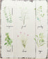 Barnyard Designs Kitchen Herbs and Spices Wooden Plaque Botanical Print Sign Rustic Country Farmhouse Wall Art Decor 15.75 x 11.75
