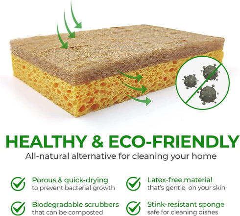AIRNEX 18 Pack Biodegradable Natural Kitchen Sponge - Compostable Cellulose and Coconut Walnut Scrubber Sponge - Eco Friendly Sponges for Dishes