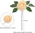 Artificial Flowers Roses 50pcs Champagne Roses Wedding Decoration Real Looking Fake Roses w/Stem for DIY Wedding Bouquets Centerpieces Arrangement Party Baby Shower Home Decoration (Champagne, 50 pcs)
