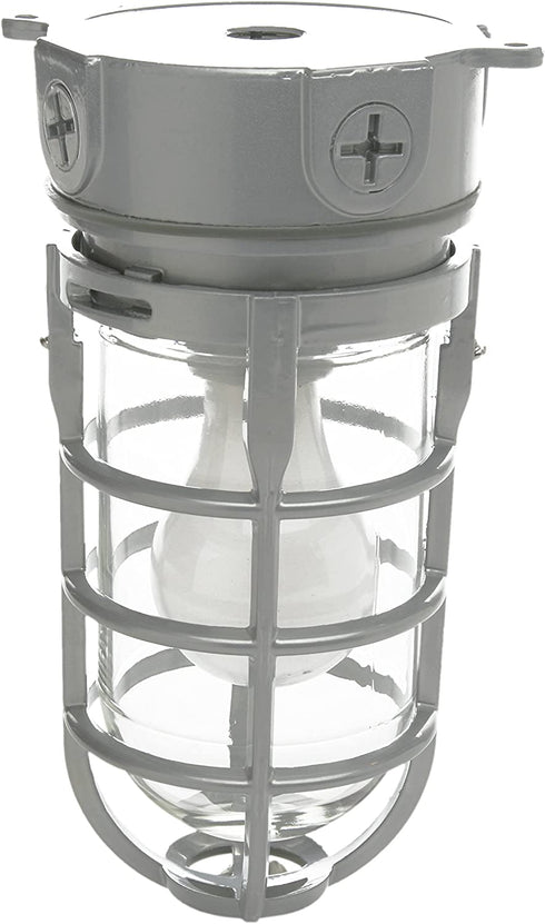 Woods L1706 Vandal Resistant Security Light With Ceiling Mount (150W Incandescent Bulb, Silver)