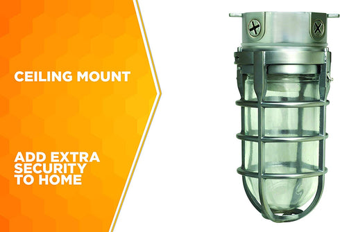Woods L1706 Vandal Resistant Security Light With Ceiling Mount (150W Incandescent Bulb, Silver)