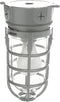 Woods L1706 Vandal Resistant Security Light With Ceiling Mount (150W Incandescent Bulb, Silver)