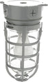 Woods L1706 Vandal Resistant Security Light With Ceiling Mount (150W Incandescent Bulb, Silver)