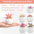 Remittur Set of 6 Artificial Succulents in Ceramic Pots, Pink Fake Succulent Plants for Bedroom Decor, Small Succulents Plants Artificial Fake Plant Decor, Mini Desk Plant for Home Decor (Pink)