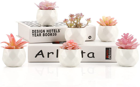Remittur Set of 6 Artificial Succulents in Ceramic Pots, Pink Fake Succulent Plants for Bedroom Decor, Small Succulents Plants Artificial Fake Plant Decor, Mini Desk Plant for Home Decor (Pink)