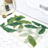 ZebraSmile Leaves Microfiber Strong Water Absorption Green Bath Rug Tower with Non Slip Back Inside Entryway Door Mat for Bathroom Floor Indoor Doormat 17.5 X 25.5IN