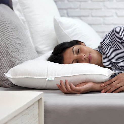SensorPEDIC Value SofLOFT Fiber Filled Standard Bed Pillow with Cotton Cover, White