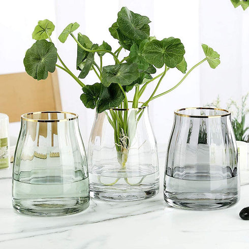 VanEnjoy 7 inch Clear Simple Glass Flower Vase, Decorative Gilded Rim Vase Home Decor for Indoor Centerpiece
