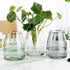 VanEnjoy 7 inch Clear Simple Glass Flower Vase, Decorative Gilded Rim Vase Home Decor for Indoor Centerpiece