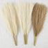 Faux Pampas Grass - Pampas Grass Decor - 17 Inch Dried Pampas Grass Small - Artificial Pompous Grass Branches Decor (7)