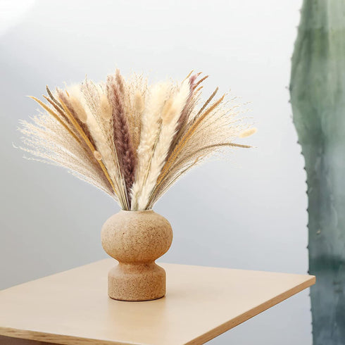 Pampas Grass Dried Pampas for Home Kitchen Decor, 17inch Natural Dried Pampas Grasss Decor Small Fluffy Pampas Bouquet Reed Grass Plant Boho Room Decor for Flower Arrangement (65Pcs)
