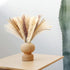 Pampas Grass Dried Pampas for Home Kitchen Decor, 17inch Natural Dried Pampas Grasss Decor Small Fluffy Pampas Bouquet Reed Grass Plant Boho Room Decor for Flower Arrangement (65Pcs)