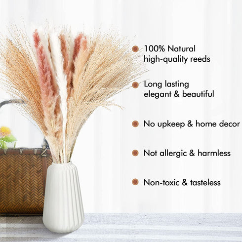 ANKRA 60 Pcs Natural Dried Pampas Grass, 15 Pcs White Pampas & 15 Pcs Brown Pampas & 30 Pcs Reed Grass, 20" Fluffy Pampas Grass Decor, Dried Pampas Grass for Flower Arrangements Home Decor, (ANKRA-01)