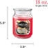 Candle-Lite Apple Cinnamon Crisp Jar Candle, 18 oz, Red