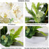 YOBANSA Orchid Bonsai Artificial Flowers with Imitation Porcelain Flower Pots Phalaenopsis Fake Flowers Arrangements for Home Decoration (White 1)