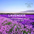 ROSE COTTAGE Large 12 Packs Lavender Hanging Closet Deodorizer Air Freshener Long Lasting Scented Sachets Smell Goods for House