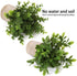 Artificial Mini Potted Plants Plastic Fake Green Plant Small Faux Plants in Pots for Home Table Office Desk Room Bathroom House Decor