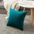 Throw Pillow Cases 22x22 Teal: 2 Pack Cozy Soft Velvet Square Decorative Pillow Covers for Farmhouse Home Decor, DEZENE