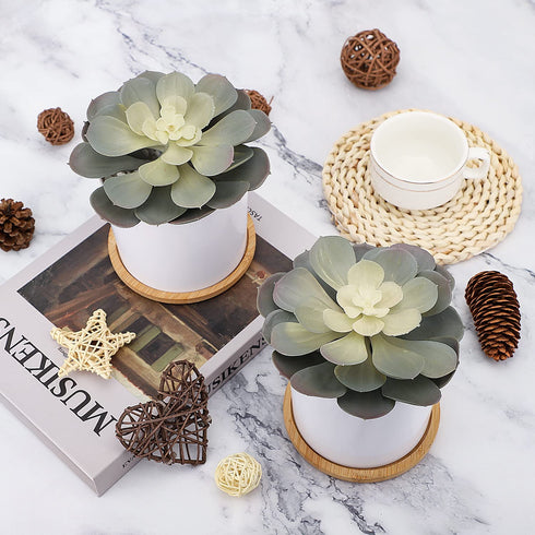 Hopewood Artificial Succulents in Pots,Large Succulents Plants Artificial with Bamboo Trays, 5.5" X 6" Fake Plants for Bedroom Decor, Set of 2
