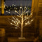 2FT24LED Birch Tree Lighted,Fairy Spirit Warm White Tabletop Light up Tree Lamp, USB and Battery Powered Timer Artificial Branches Tree Decoration Home Party Festival Holiday(1 PCS)€¦