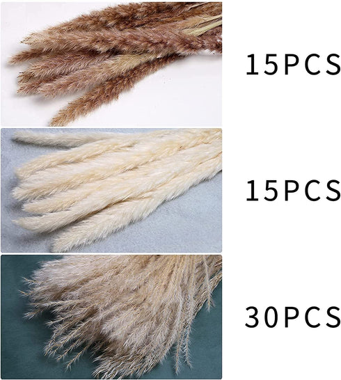 TOPHOOD 60 Pcs Dried Pampas Grass Decor -19inch Natural Pompas Floral/ Pompous for Flower Arrangements Wedding Home Decor(15 White & 15 Brown Grass& 30 Reed