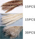 TOPHOOD 60 Pcs Dried Pampas Grass Decor -19inch Natural Pompas Floral/ Pompous for Flower Arrangements Wedding Home Decor(15 White & 15 Brown Grass& 30 Reed
