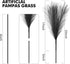 Pampas-Grass with Extension Stem, Artificial-Pampass-Grass 17" to 21.5" Faux-Pampas-Grass-Decor Tall 6Pcs, Pampas Grass for Flower-Arrangement, Black Pompous Grass