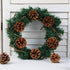 JOHOUSE 24PCS PineCones, Natural PineCones Package, PineCones Ornaments for Christmas Autumn and Winter Crafts Decorating, 1.9-2.5inches