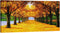Pyradecor Large Orange Trees Giclee Canvas Prints Wall Art Paintings Pictures for Living Room Bedroom Home Office Decor - Far Seeing Modern Stretched and Framed Autumn Forest Landscape Artwork
