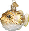 Old World Christmas Fish Collection Glass Blown Ornaments for Christmas Tree Pufferfish