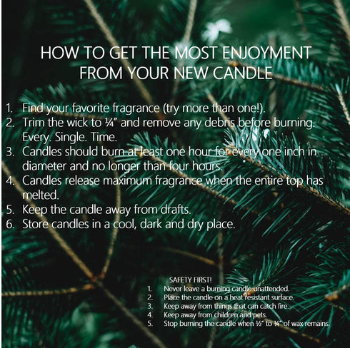 Gingerbread Christmas Cookie Scented Candles | All-Natural Clean Soy Candle | Delightful Home Fragrance | Non-Toxic Long Burning Soy Wax | 12.5 oz Jar | Hand Made in the USA by Stillwater Bath and Body