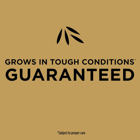 Scotts EZ Seed Patch and Repair Tall Fescue Lawns, 3.75 lb. - Combination Mulch, Seed, and Fertilizer - Tackifier Reduces Seed Wash-Away - Mix Covers up to 85 sq. ft.