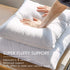 Phantoscope 22x22 Pillow Insert - Throw Pillow Insert with 100% Cotton Cover - 22 Inch Square Form Pillow Sham Stuffer - Decorative Couch Cushion Pillow